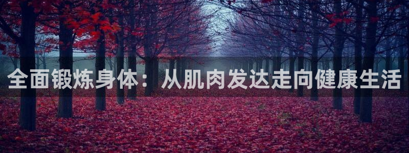 oety欧亿