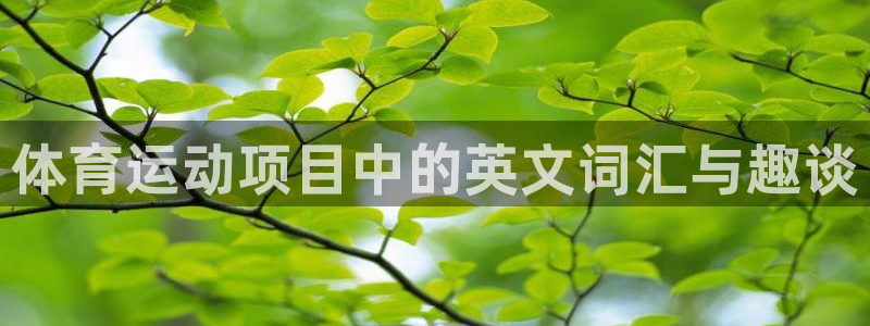 oety欧亿