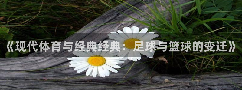oety欧亿：《现代体育与经典经典：足球与篮球的变迁》
