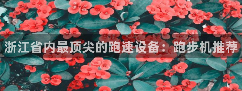 oety欧亿：浙江省内最顶尖的跑速设备：跑步机推荐