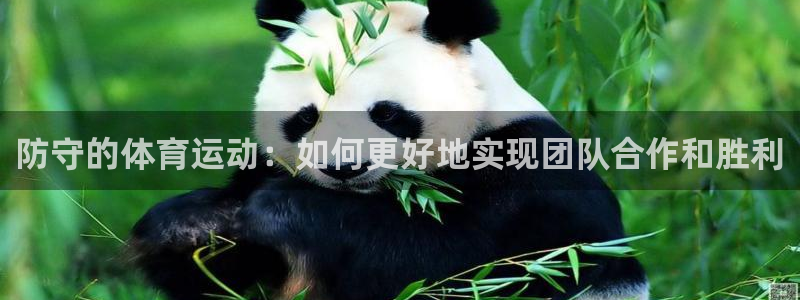 oety欧亿：防守的体育运动：如何更好地实现团队合作和胜利