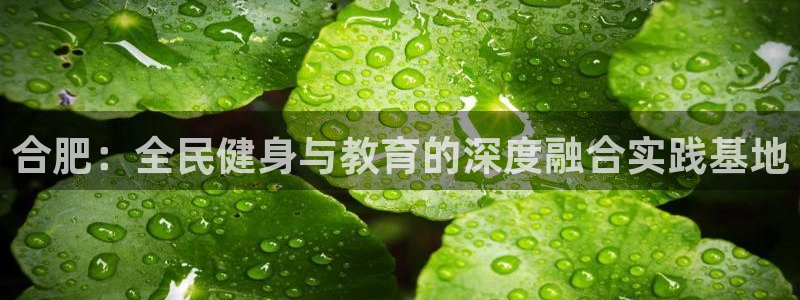 oety欧亿：合肥：全民健身与教育的深度融合实践基地