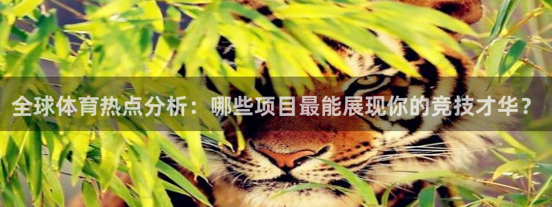 oety欧亿：全球体育热点分析：哪些项目最能展现你的竞技才华？